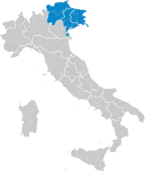 Veneto nord, Trentino e Friuli Venezia Giulia